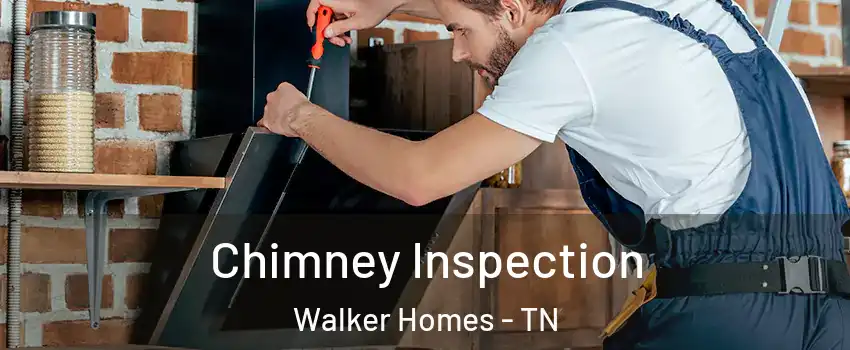 Chimney Inspection Walker Homes - TN