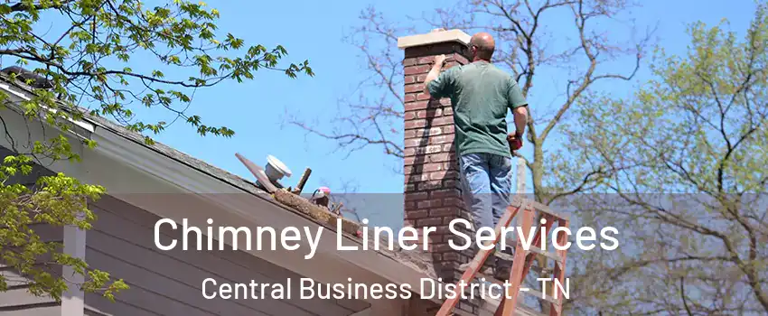 Chimney Liner Services Central Business District - TN