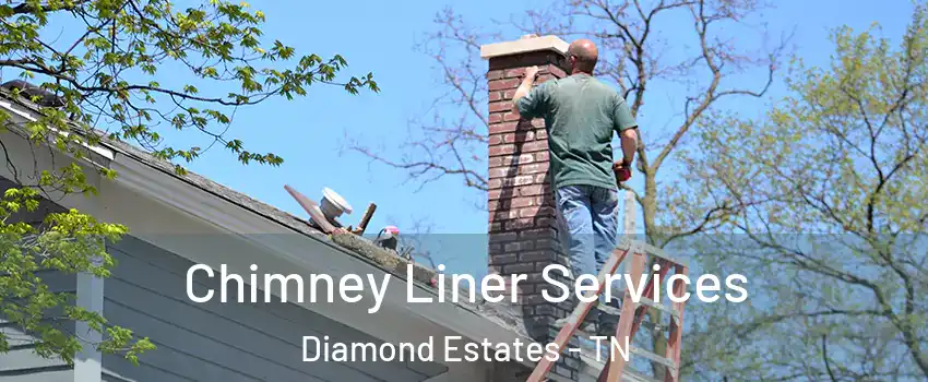 Chimney Liner Services Diamond Estates - TN