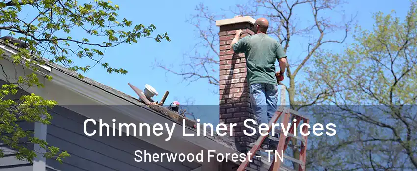 Chimney Liner Services Sherwood Forest - TN