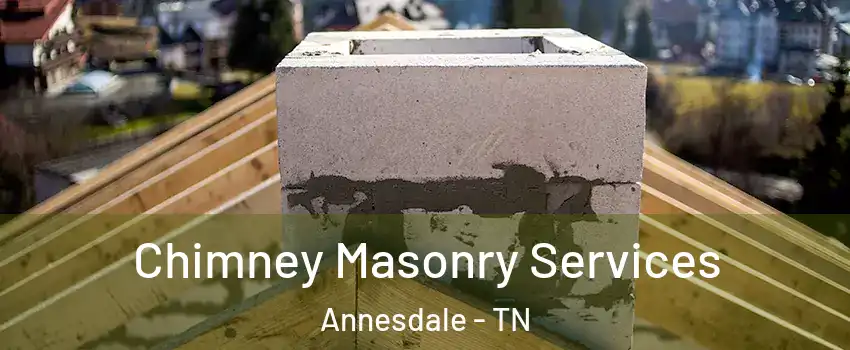 Chimney Masonry Services Annesdale - TN