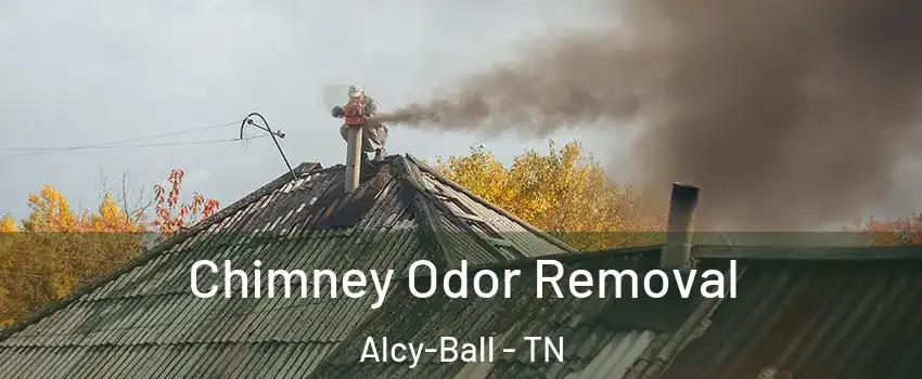 Chimney Odor Removal Alcy-Ball - TN