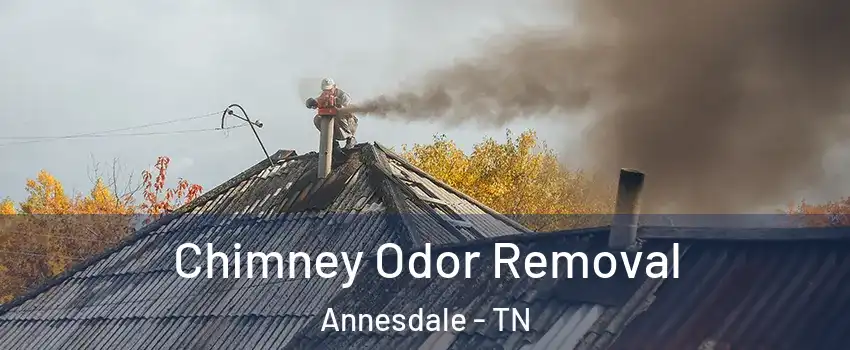 Chimney Odor Removal Annesdale - TN