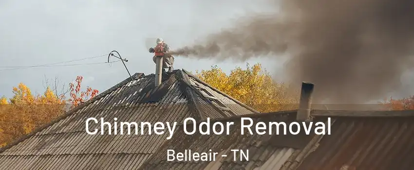 Chimney Odor Removal Belleair - TN