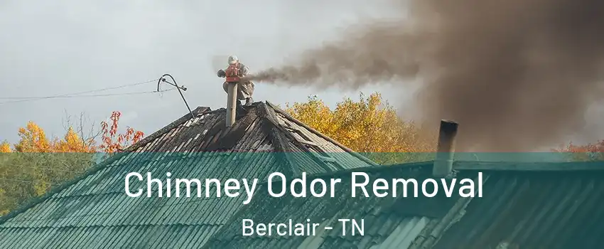 Chimney Odor Removal Berclair - TN