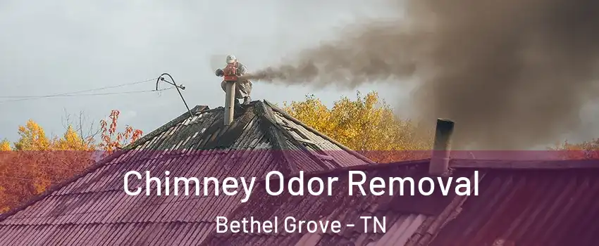 Chimney Odor Removal Bethel Grove - TN