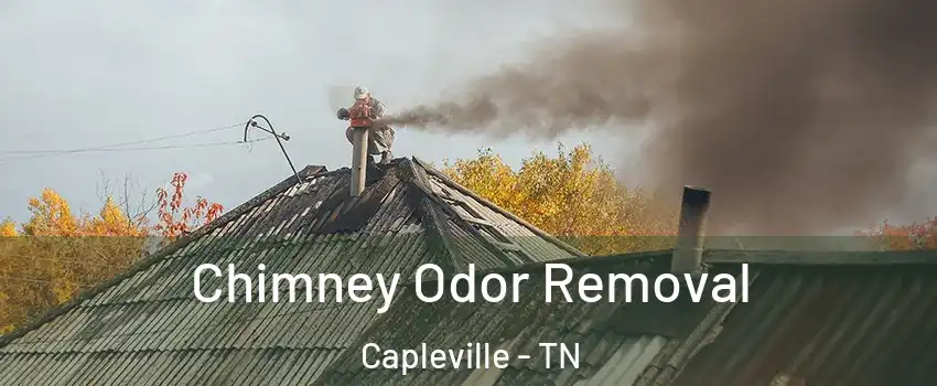 Chimney Odor Removal Capleville - TN