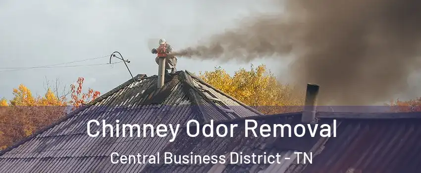 Chimney Odor Removal Central Business District - TN