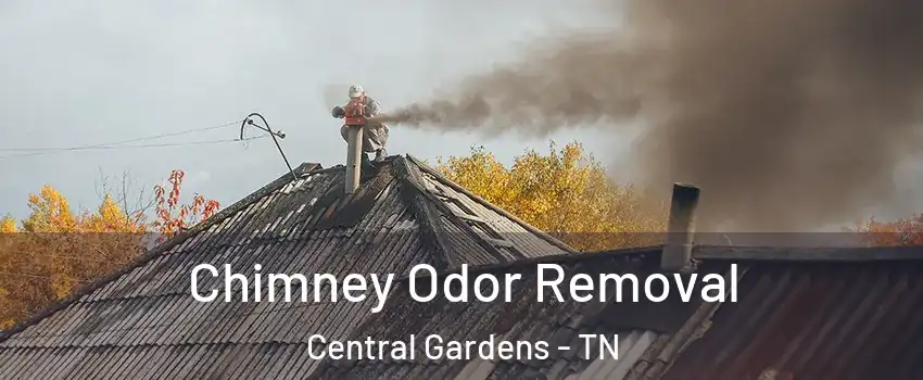 Chimney Odor Removal Central Gardens - TN