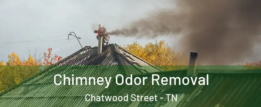 Chimney Odor Removal Chatwood Street - TN