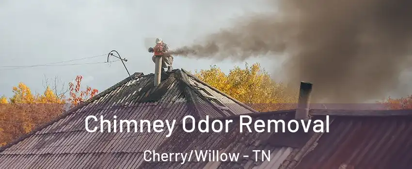 Chimney Odor Removal Cherry/Willow - TN