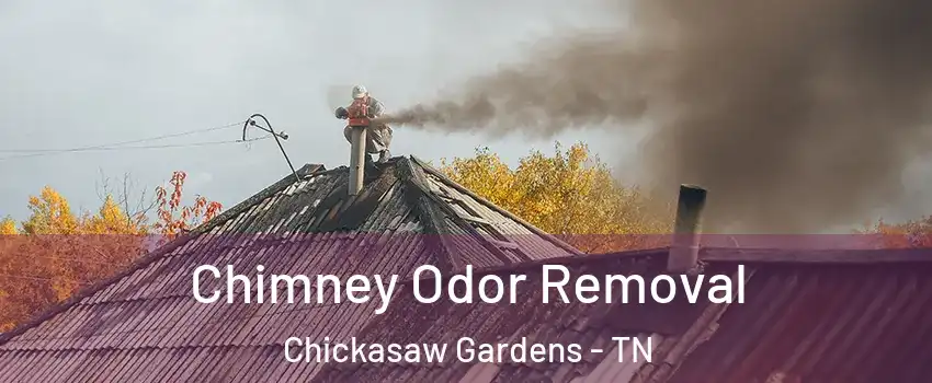 Chimney Odor Removal Chickasaw Gardens - TN