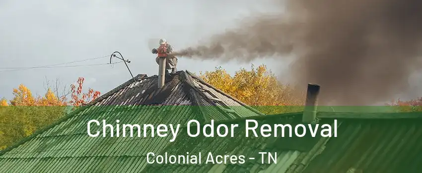 Chimney Odor Removal Colonial Acres - TN