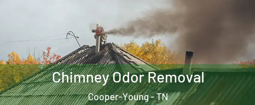 Chimney Odor Removal Cooper-Young - TN