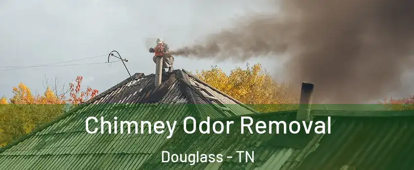 Chimney Odor Removal Douglass - TN