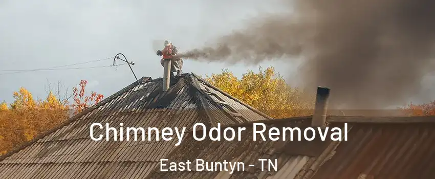 Chimney Odor Removal East Buntyn - TN