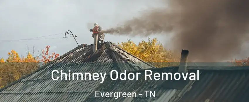 Chimney Odor Removal Evergreen - TN