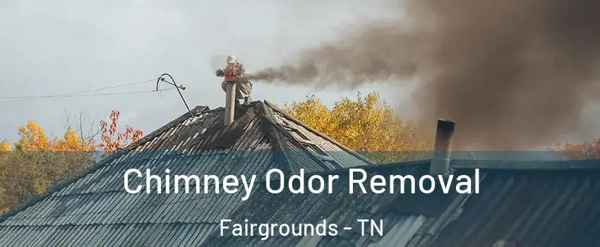 Chimney Odor Removal Fairgrounds - TN