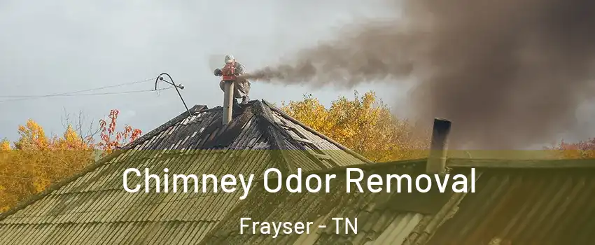 Chimney Odor Removal Frayser - TN