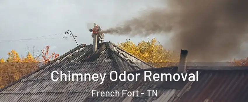 Chimney Odor Removal French Fort - TN