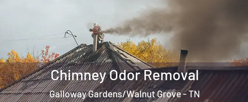 Chimney Odor Removal Galloway Gardens/Walnut Grove - TN