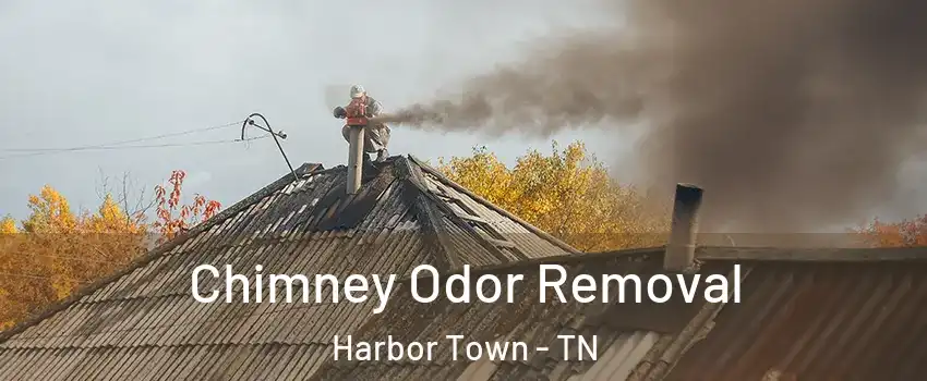 Chimney Odor Removal Harbor Town - TN