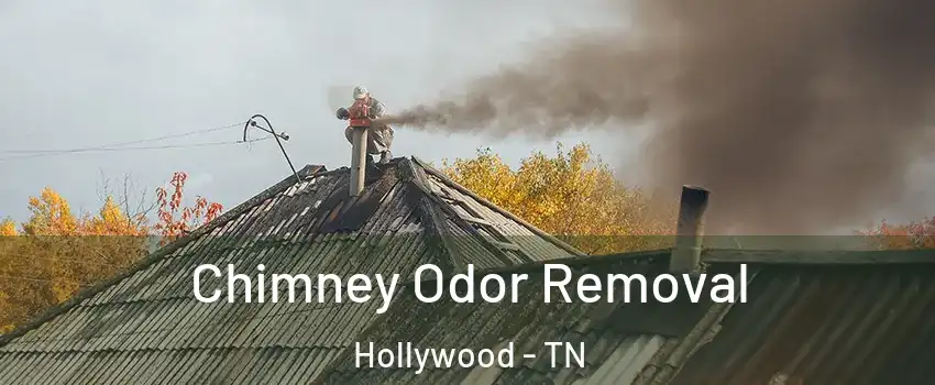 Chimney Odor Removal Hollywood - TN