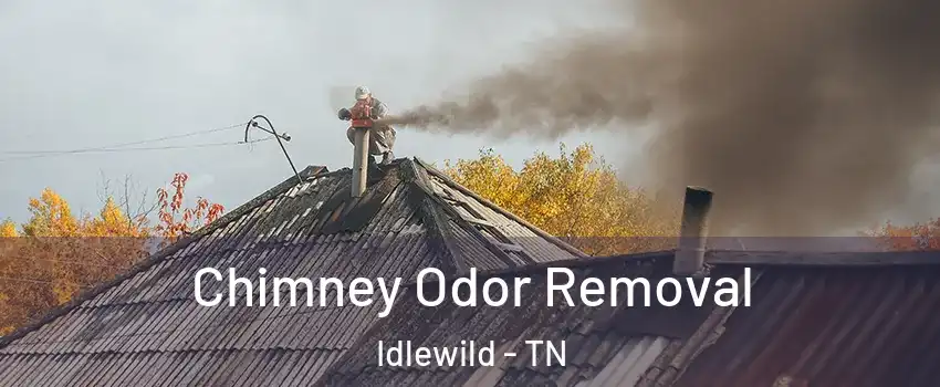 Chimney Odor Removal Idlewild - TN