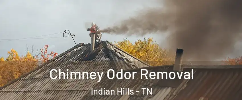 Chimney Odor Removal Indian Hills - TN