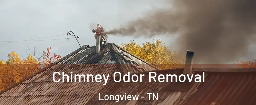 Chimney Odor Removal Longview - TN