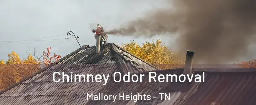 Chimney Odor Removal Mallory Heights - TN