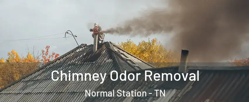 Chimney Odor Removal Normal Station - TN