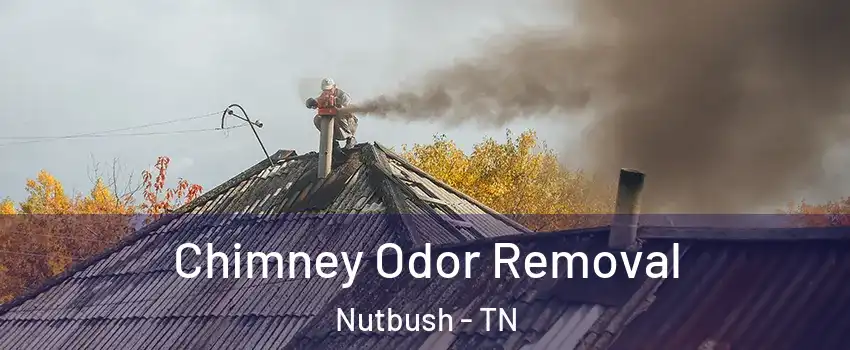 Chimney Odor Removal Nutbush - TN