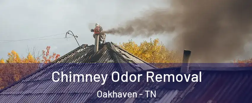 Chimney Odor Removal Oakhaven - TN