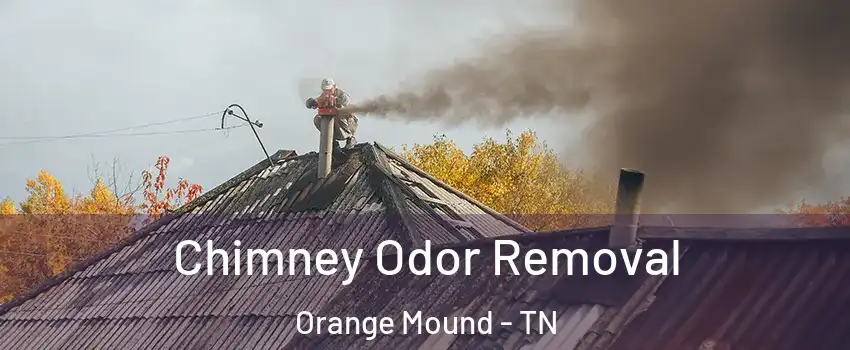 Chimney Odor Removal Orange Mound - TN