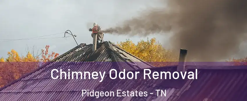 Chimney Odor Removal Pidgeon Estates - TN