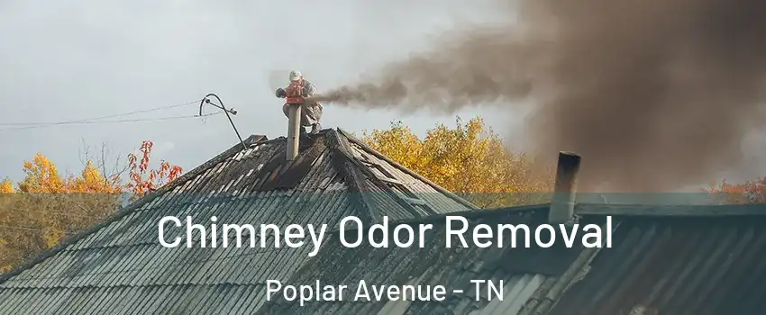 Chimney Odor Removal Poplar Avenue - TN