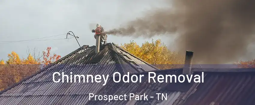 Chimney Odor Removal Prospect Park - TN