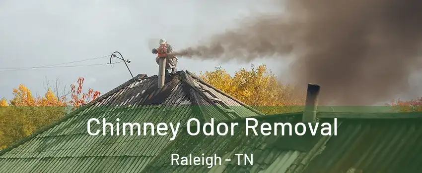 Chimney Odor Removal Raleigh - TN