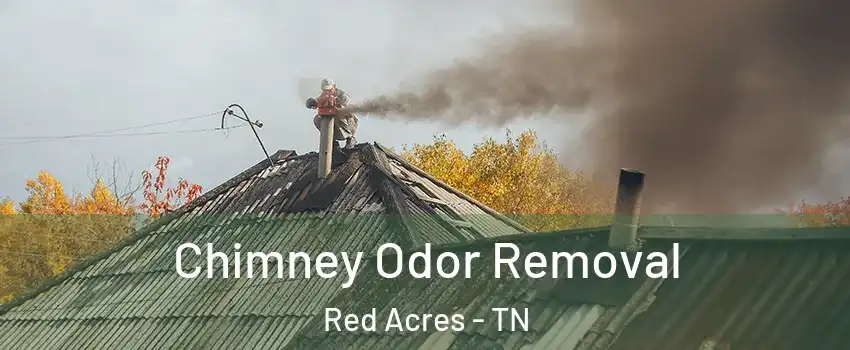 Chimney Odor Removal Red Acres - TN