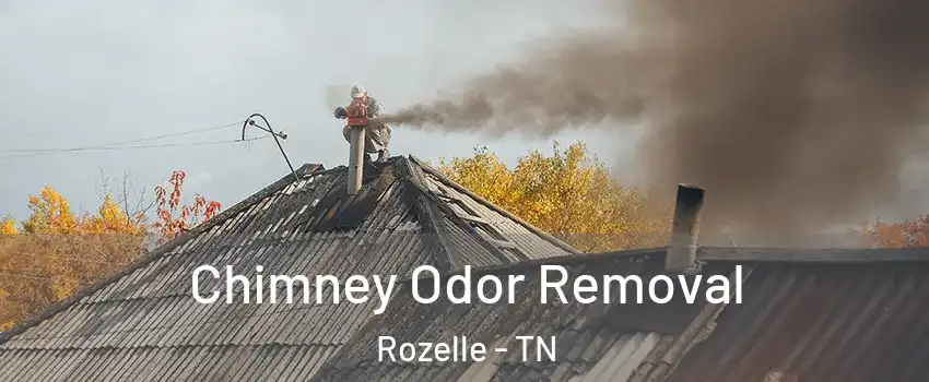 Chimney Odor Removal Rozelle - TN