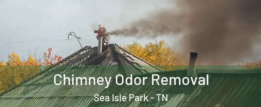 Chimney Odor Removal Sea Isle Park - TN