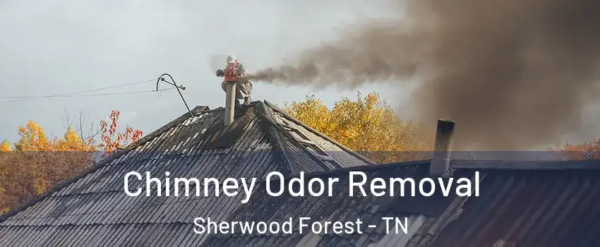 Chimney Odor Removal Sherwood Forest - TN