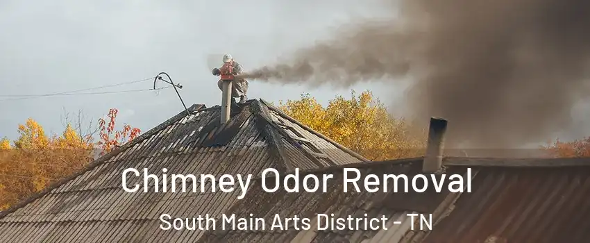 Chimney Odor Removal South Main Arts District - TN