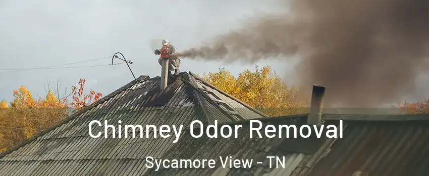 Chimney Odor Removal Sycamore View - TN