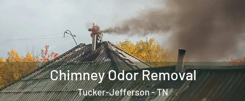 Chimney Odor Removal Tucker-Jefferson - TN