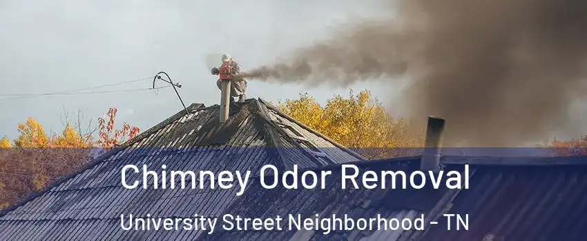 Chimney Odor Removal University Street Neighborhood - TN