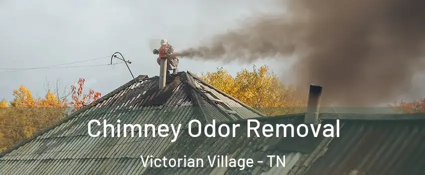 Chimney Odor Removal Victorian Village - TN