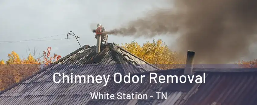 Chimney Odor Removal White Station - TN