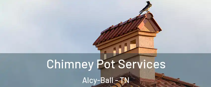 Chimney Pot Services Alcy-Ball - TN